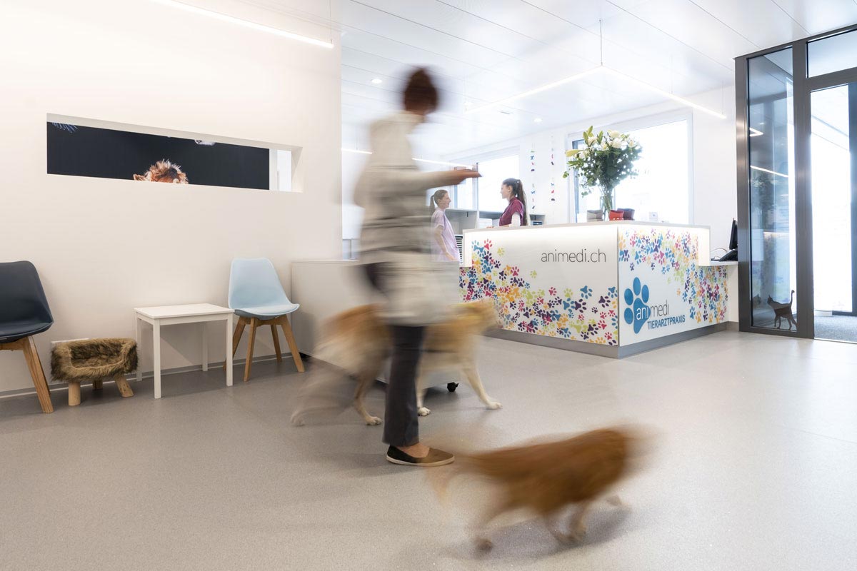 Ihr Tierarztbesuch